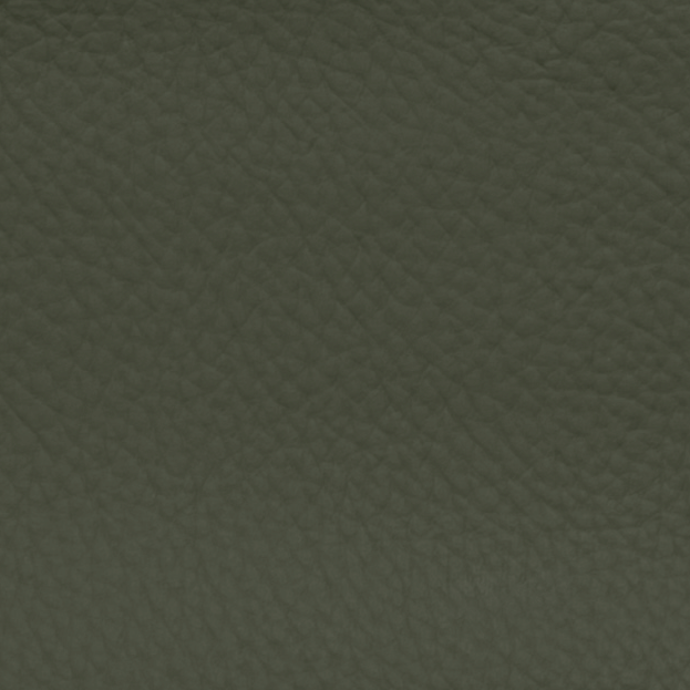 Nâu taupe