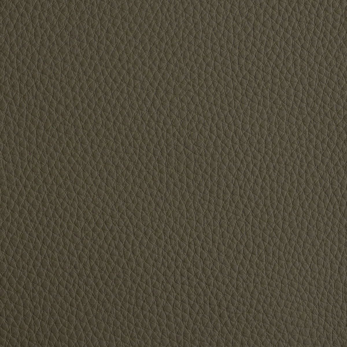 Nâu taupe