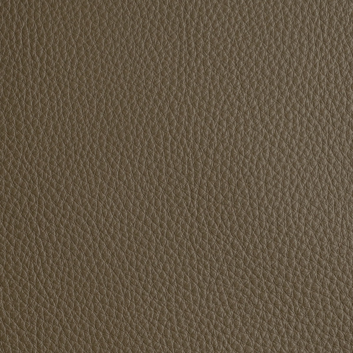 Nâu taupe