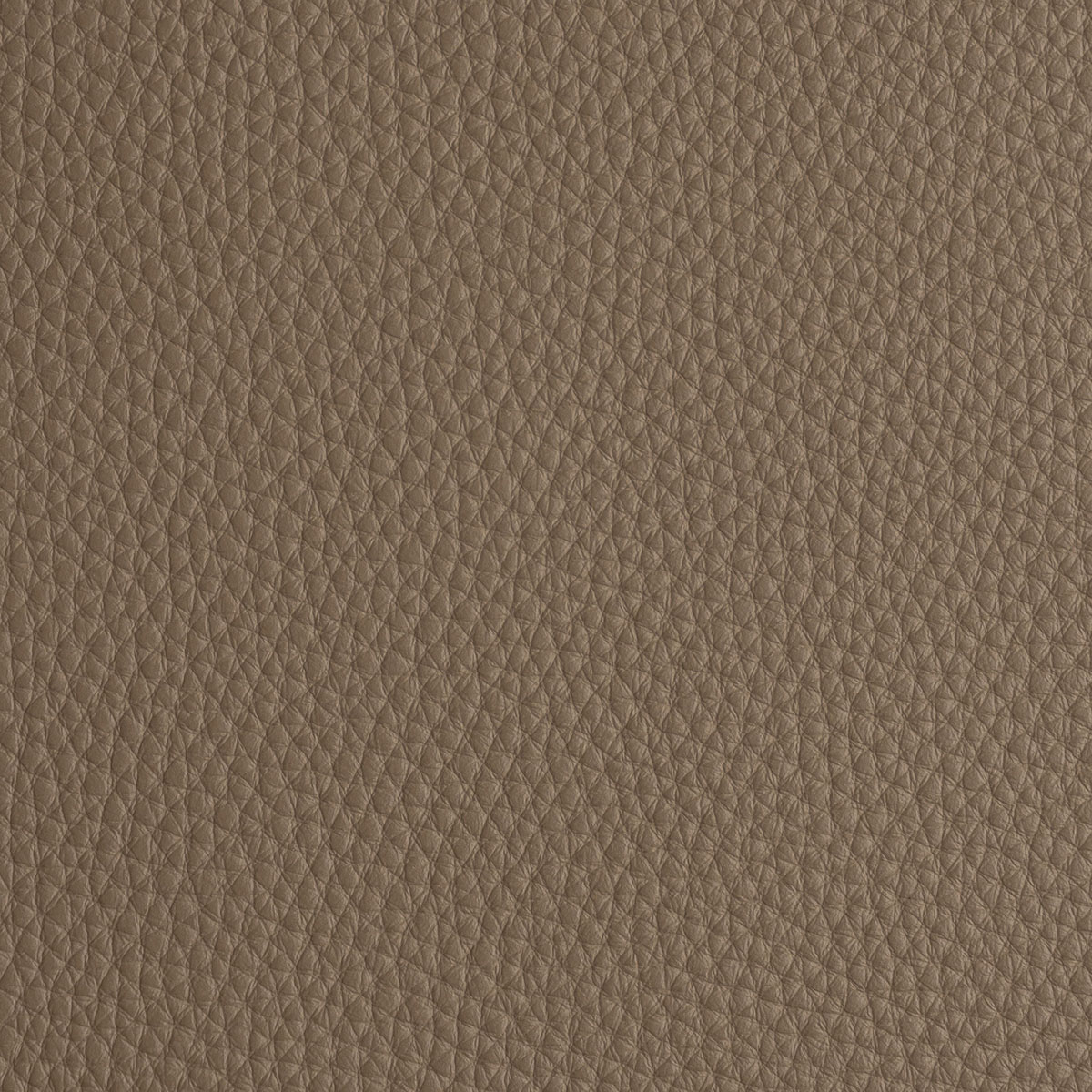 Nâu Carbon